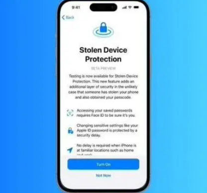 忠县苹果授权维修店分享被盗设备保护功能开启方法