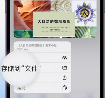 忠县apple维修中心分享iPhone文件应用中存储和找到下载文件