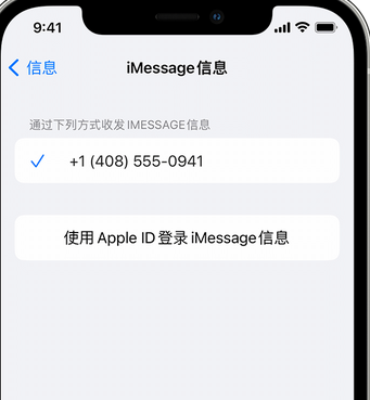 忠县apple维修iPhone上无法正常发送iMessage信息 