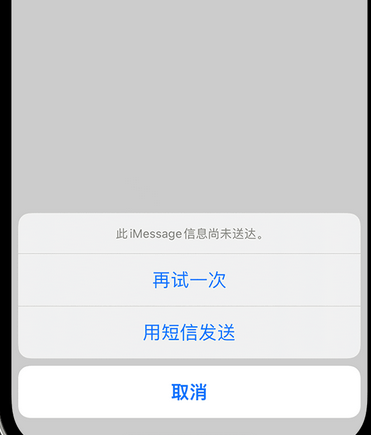 忠县apple维修iPhone上无法正常发送iMessage信息