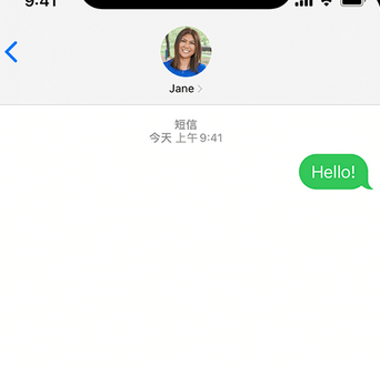 忠县apple维修iPhone上无法正常发送iMessage信息