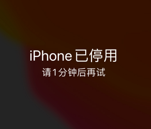 忠县苹果手机维修分享:iPhone 显示“不可用”或“已停用”怎么办？还能保留数据吗？ 