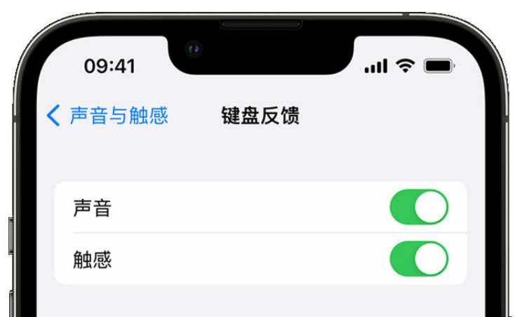 忠县苹果手机维修分享iPhone 14触感键盘使用方法 