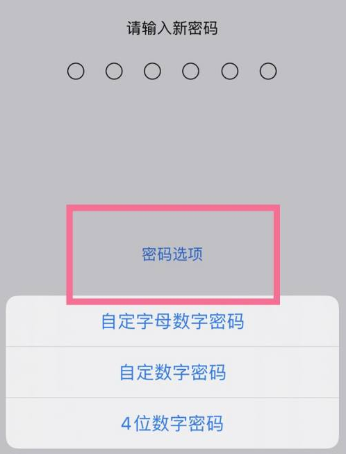 忠县苹果14维修分享iPhone 14plus设置密码的方法 