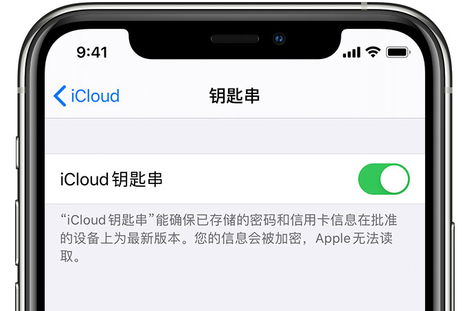 忠县苹果手机维修分享在 iPhone 上开启 iCloud 钥匙串之后会储存哪些信息 