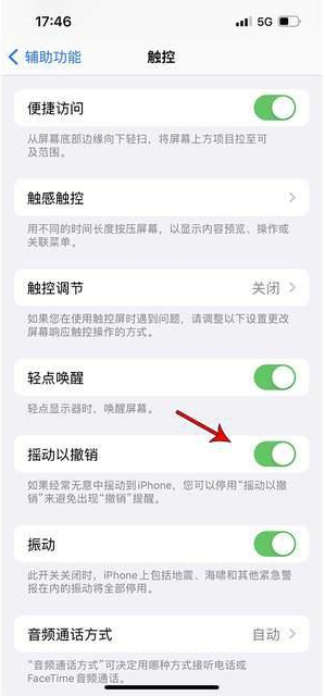 忠县苹果手机维修分享iPhone手机如何设置摇一摇删除文字 