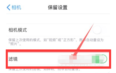 忠县苹果13维修分享iPhone13拍照有绿点是怎么回事 