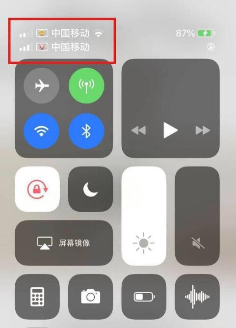忠县苹果手机维修分享为 iPhone 12 双卡设置标签 
