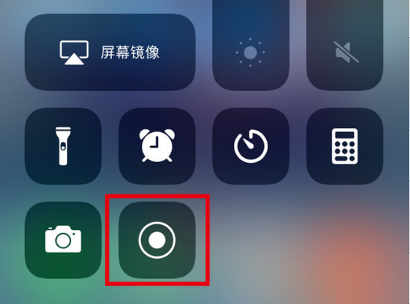 忠县苹果手机维修分享iPhone12录屏方法教程 